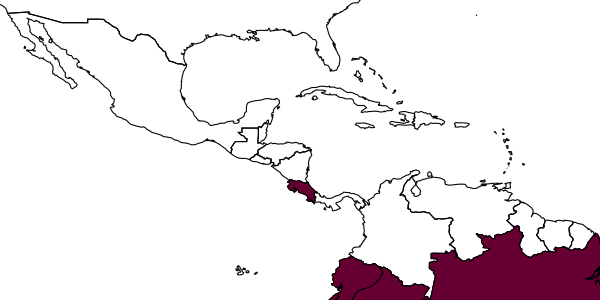 map of Mystacagenia albiceps     Evans, 1973